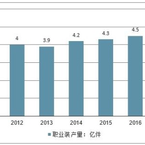 服装客群分析