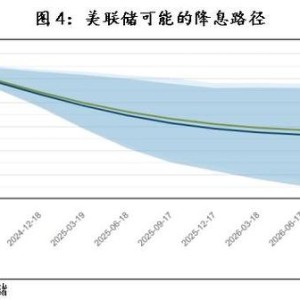 通胀压力下的美国民生调查揭示收支平衡的挑战