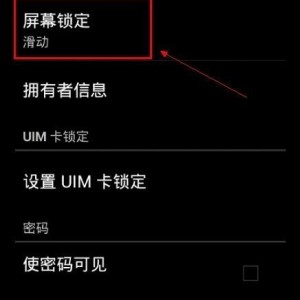 怎么样解手机密码锁屏