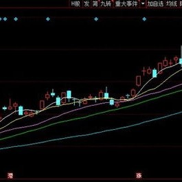 中远海控股价触及跌停深度解析背后的原因与未来展望