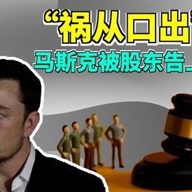 特斯拉马斯克股权