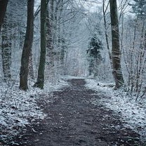 国庆当天，北京迎来秋后第一场雪