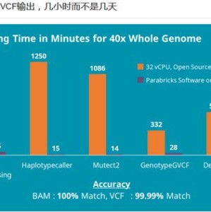 英伟达王朝的软肋：的三大风险