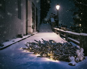 网传重庆40度高温天下雪