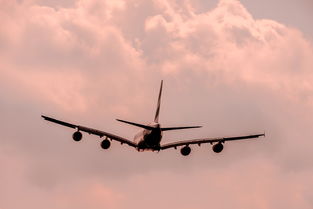 游易航空旅行网，开启你的无忧飞行之旅