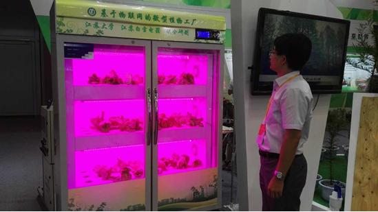 物联网通信安全协议详解：如何保护你的智能设备免受攻击